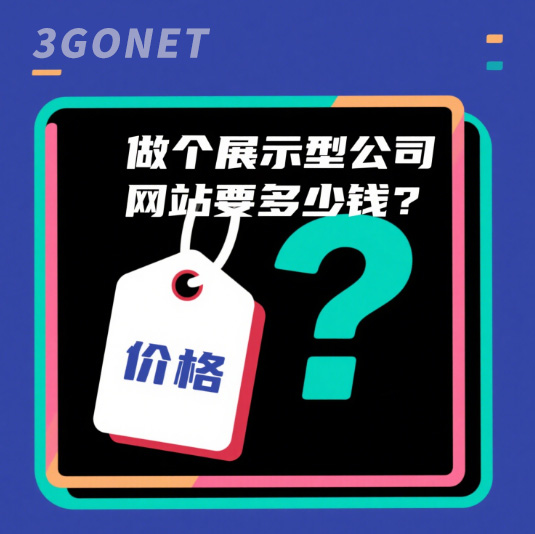 專業(yè)做網(wǎng)站公司